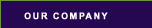 Our Company
